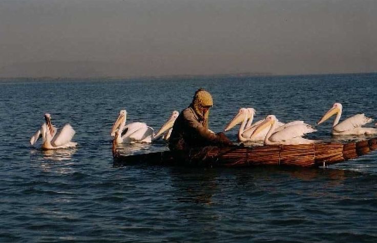 Lake Tana