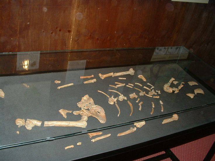 National Museum