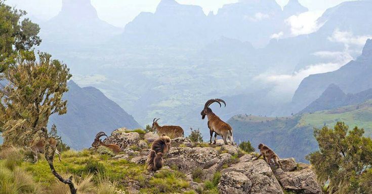 Simien Peaks