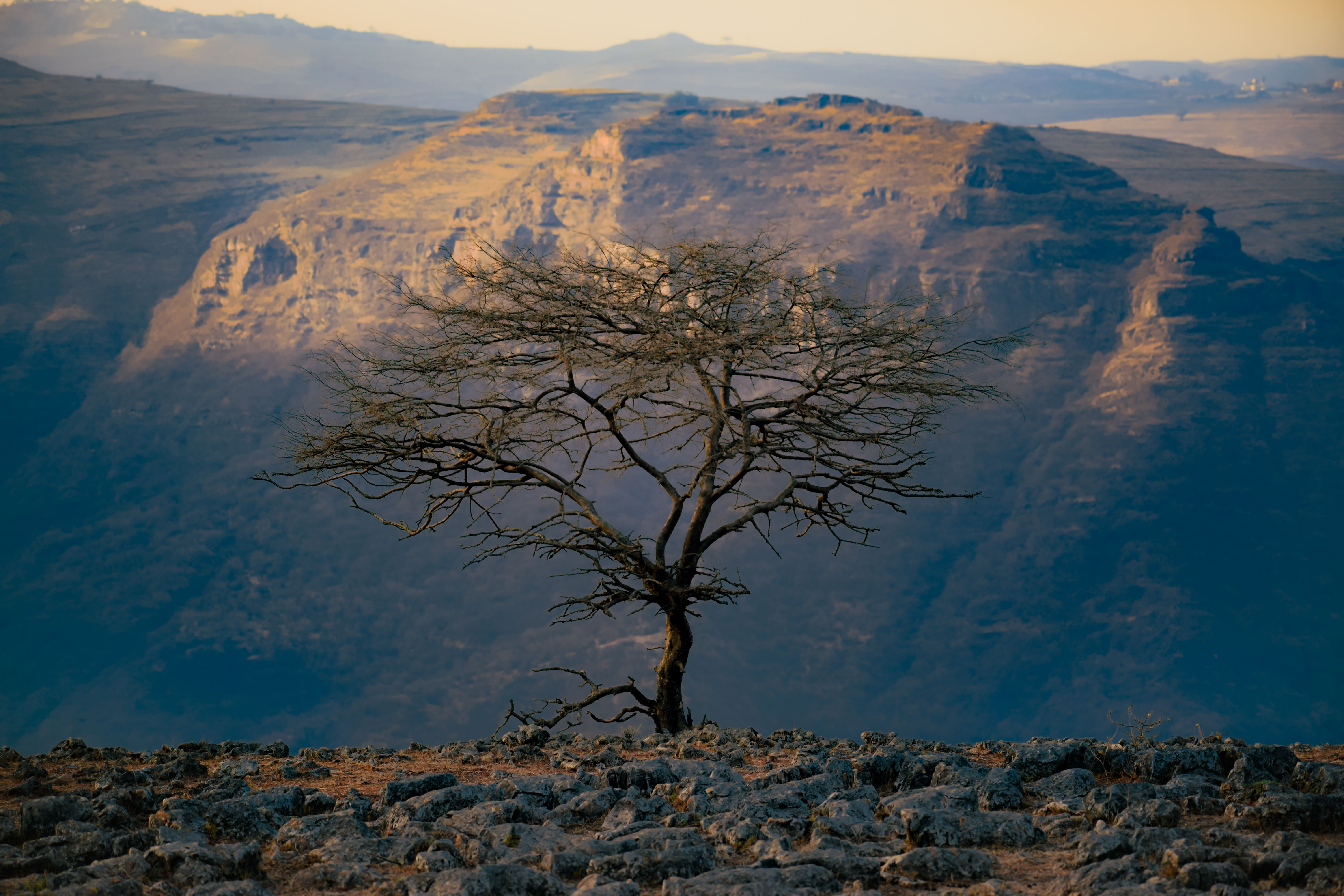 Simien Mountains